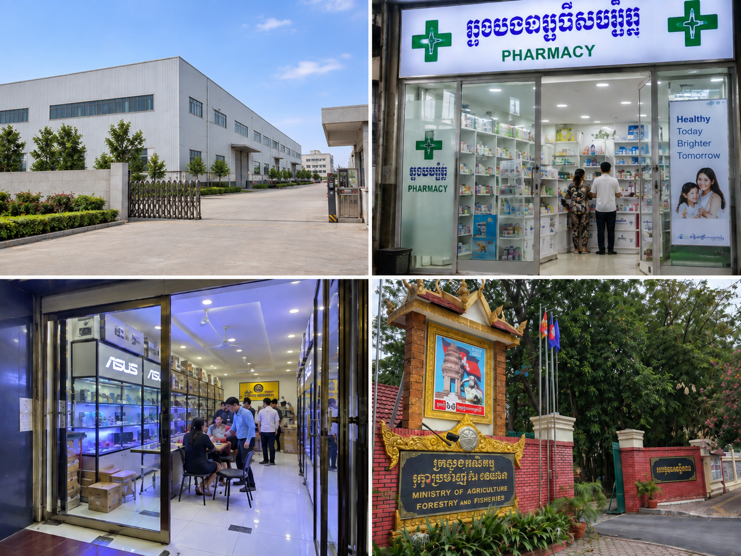 中国工場、カンボジアのPharmacy、家電店、農林水産省
